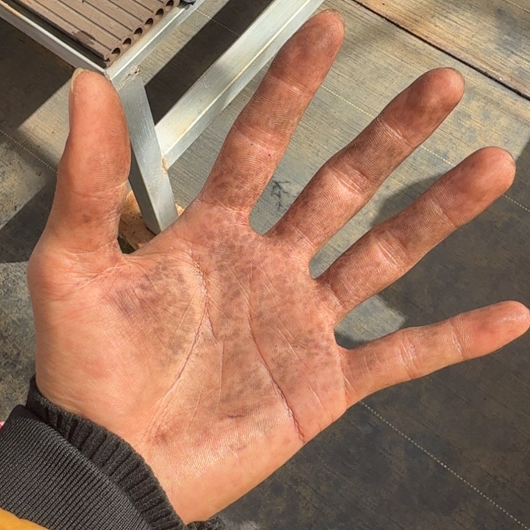 西***侍无花朵vvvvbbvvvvv