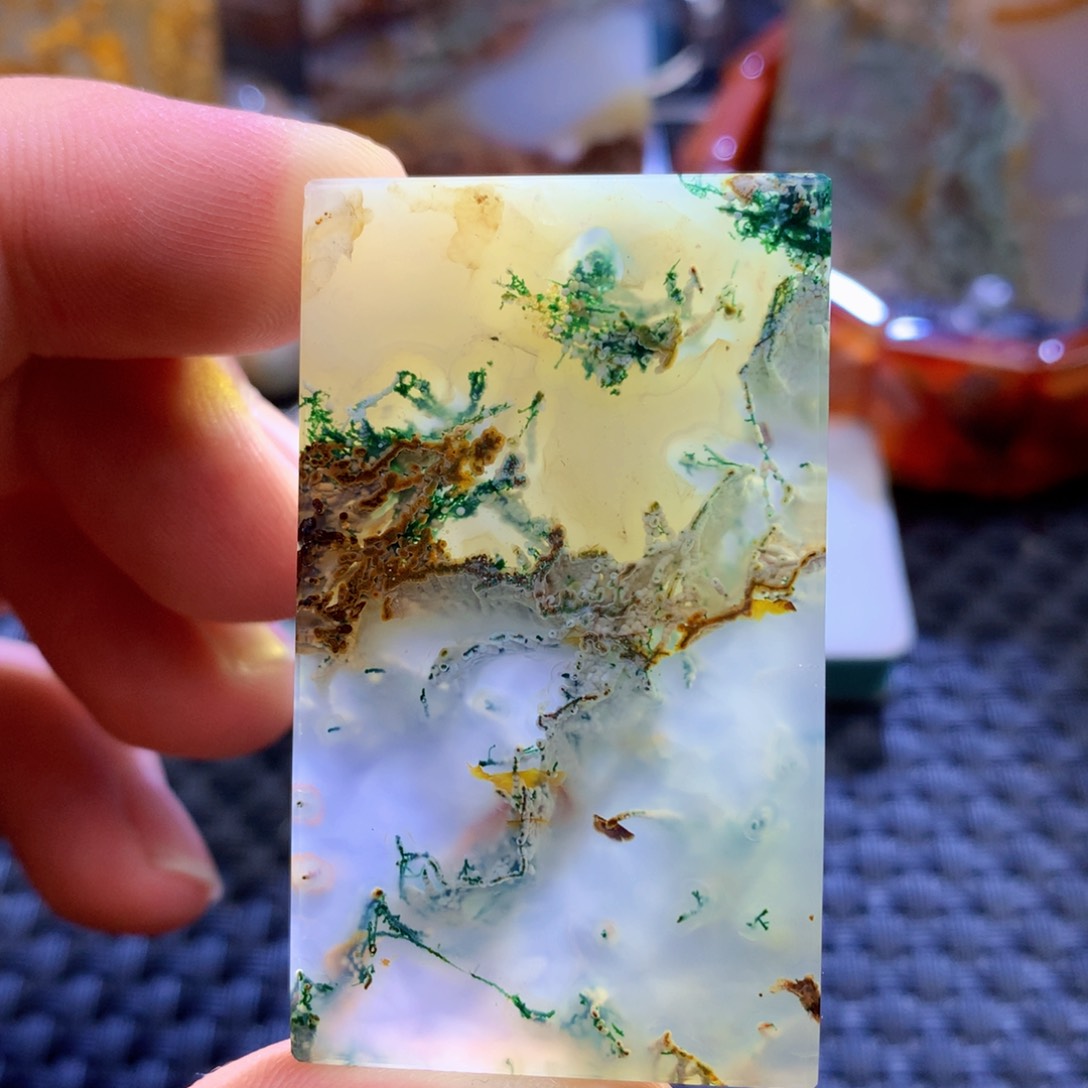 未镶嵌颈饰玛瑙/玉髓幽***蝶