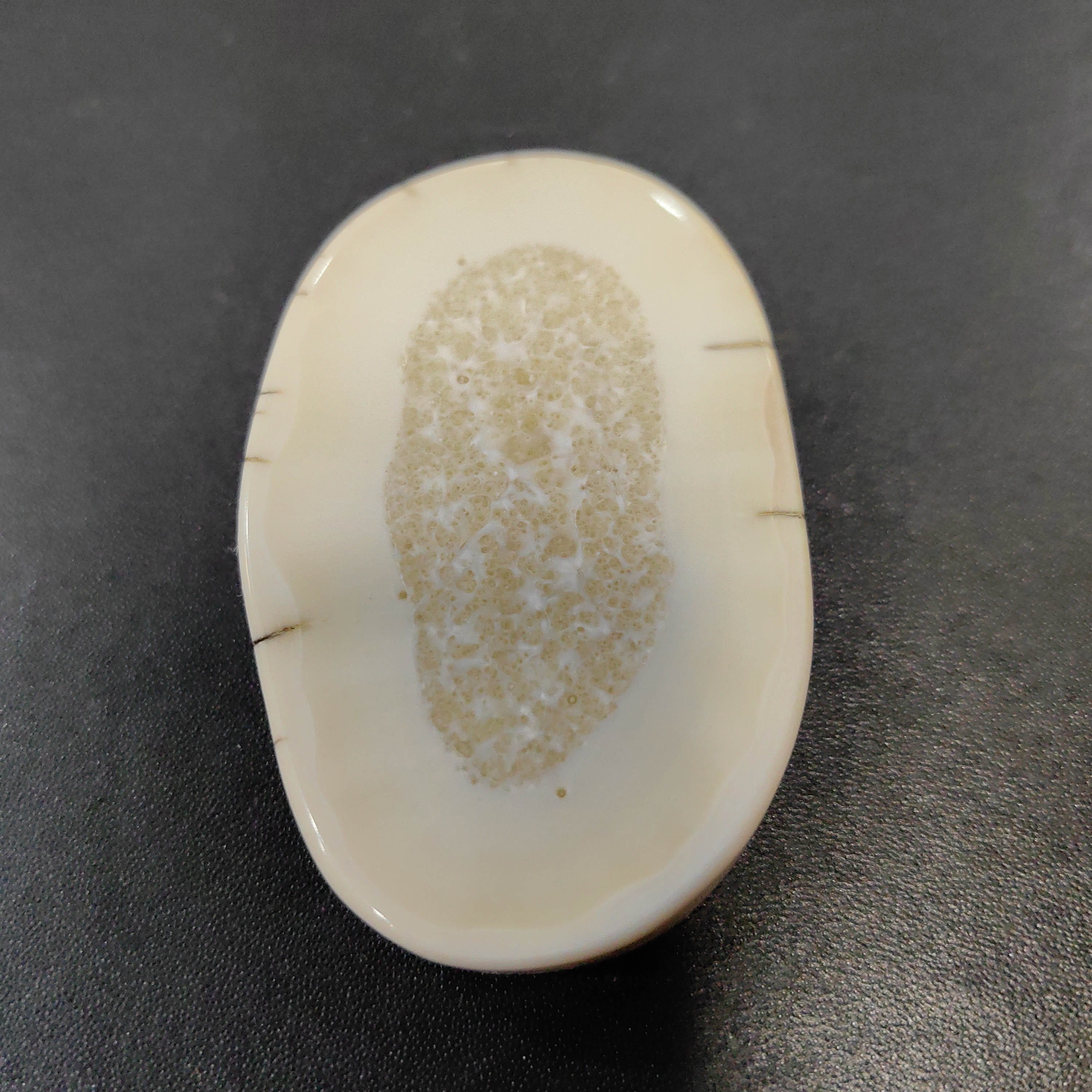 猛犸猛犸虬饼子  WT9