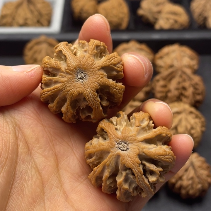 文玩核桃吊坠突突突突突突