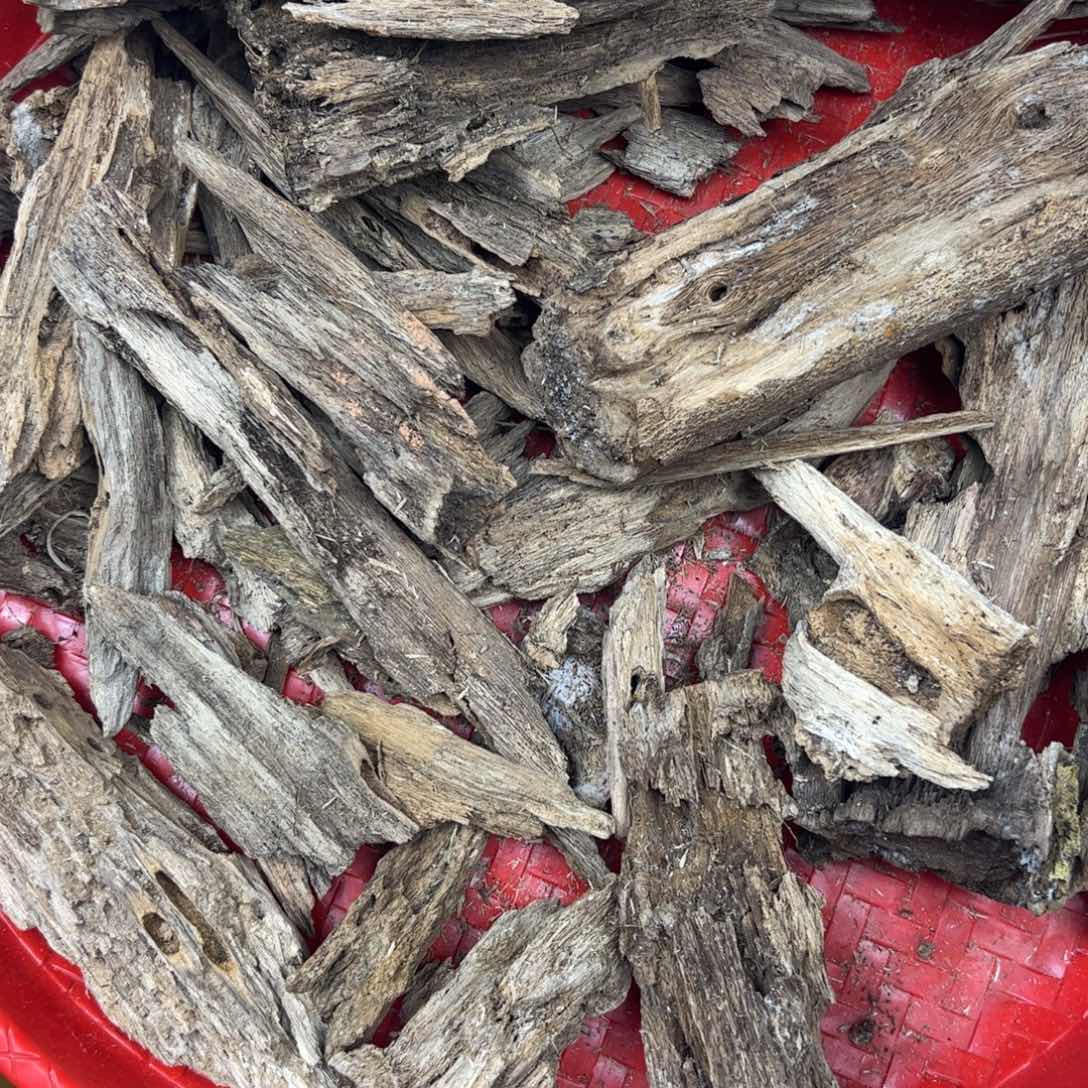 快***乐沉香木沉香碎屑原木胚料