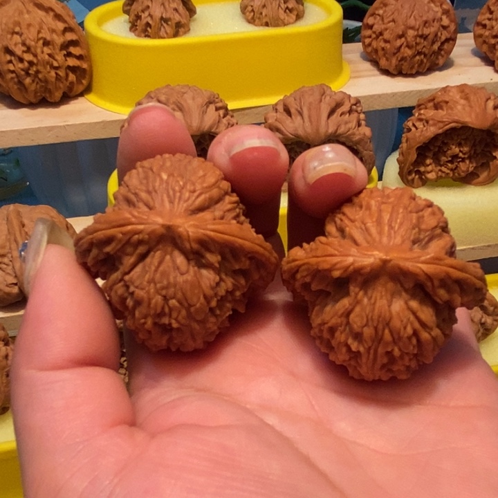 官方网站也将陆续