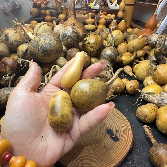 木**易葫芦葫芦葫芦葫芦