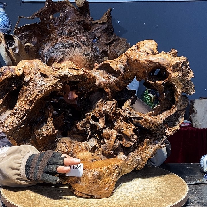 ?****）124株木底座随行根艺