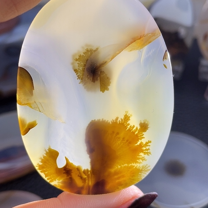 树***神玛瑙/玉髓未镶嵌颈饰