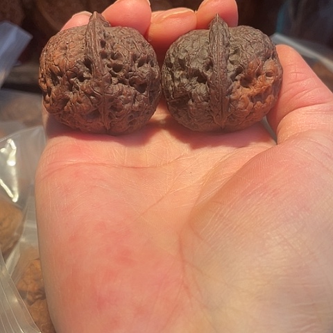 把件文玩核桃金蟾王阴皮38