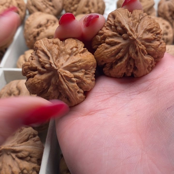 钞***子霸王龙全品无修一道没动