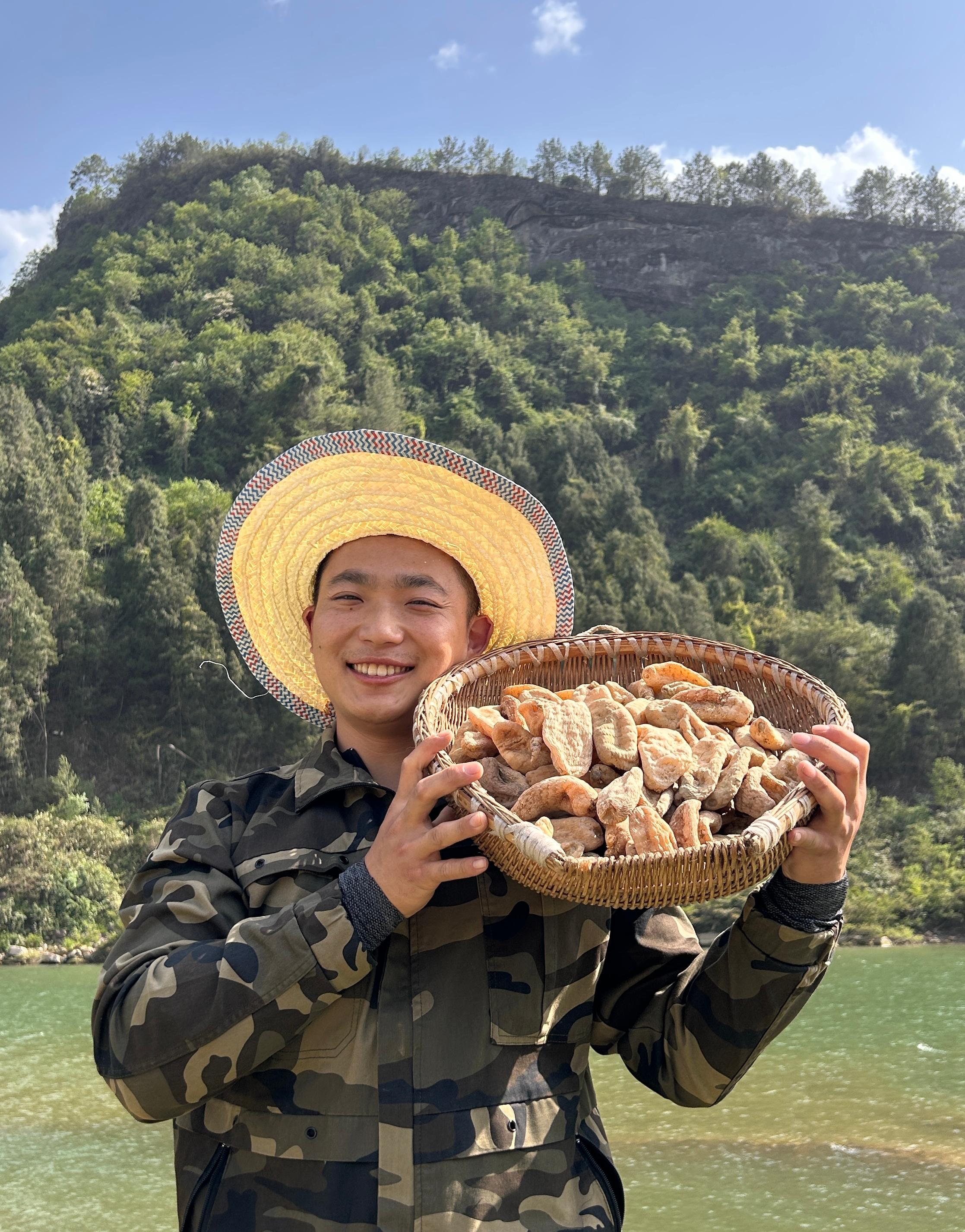 李罗豆精选天麻高山富硒土壤天麻深山天麻