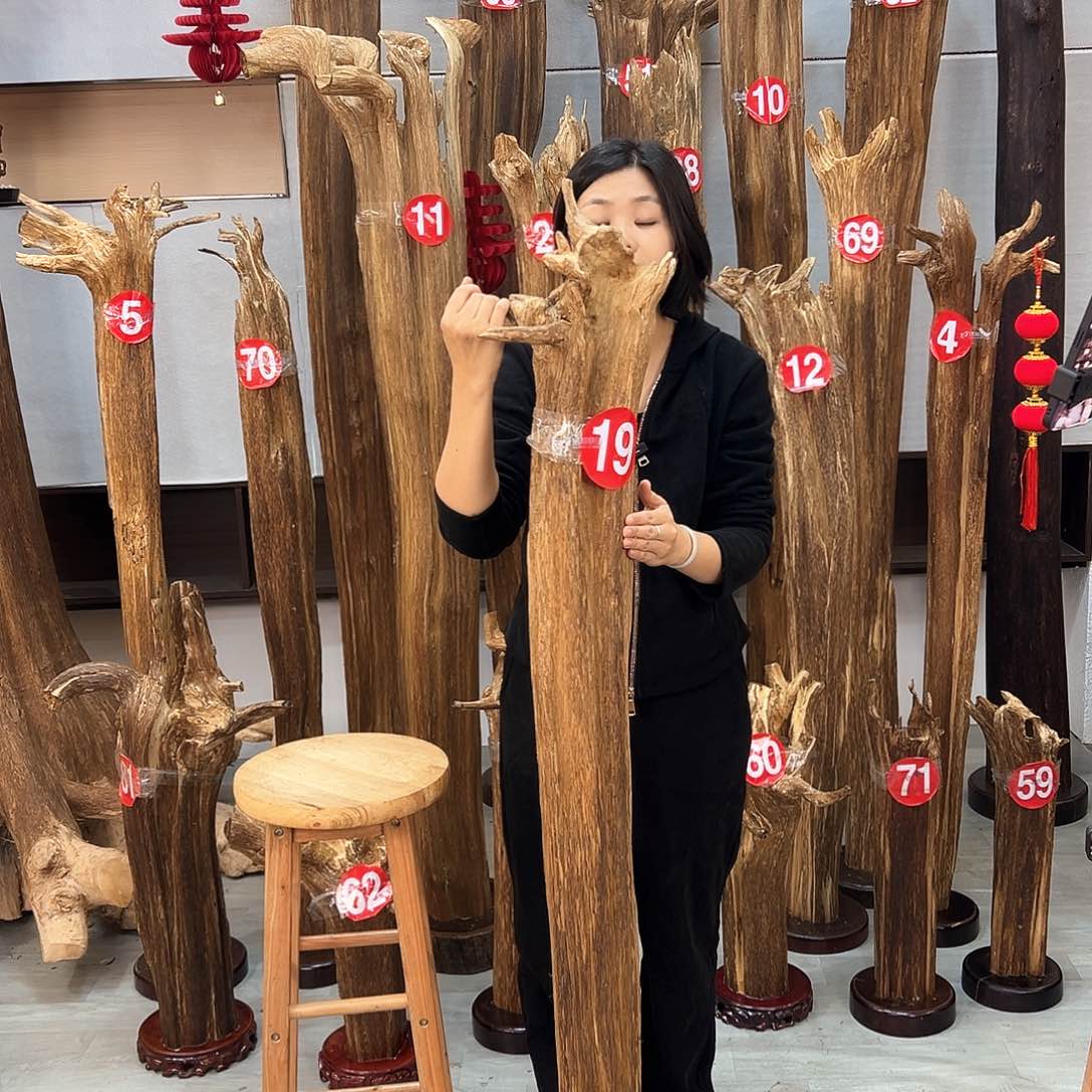 沉香摆件海南沉香摆件