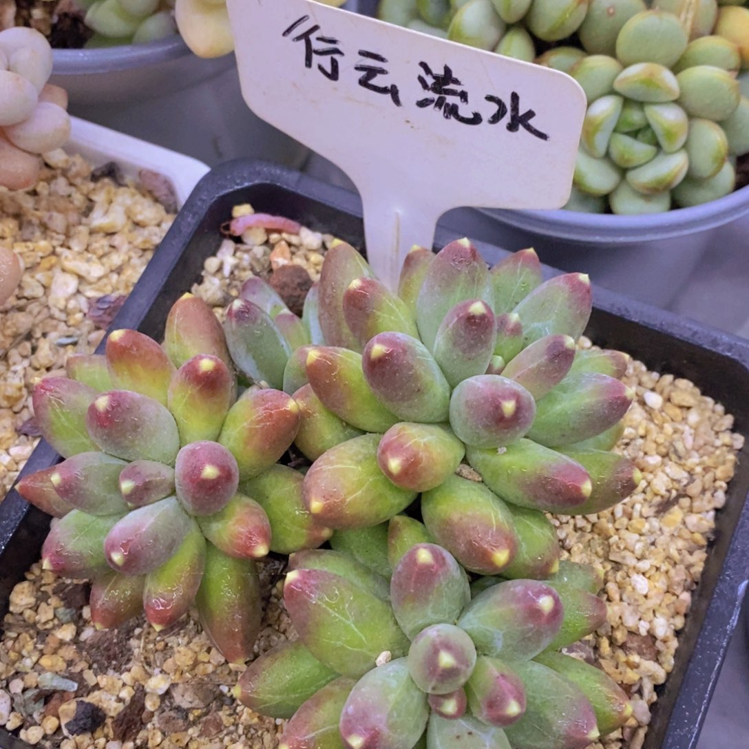 清货专场，满5宋1了