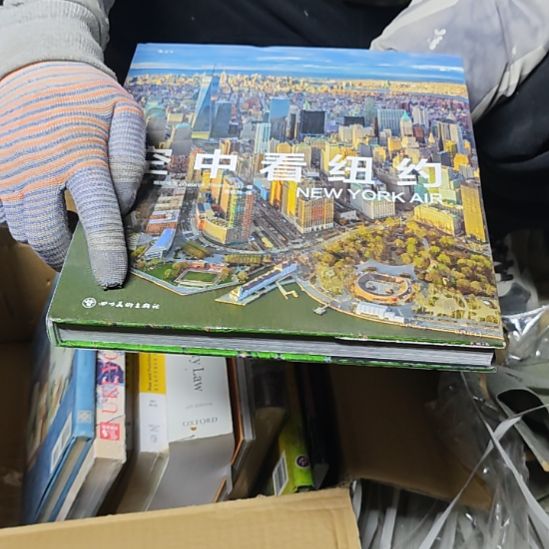 空中看纽约精装塑封全新