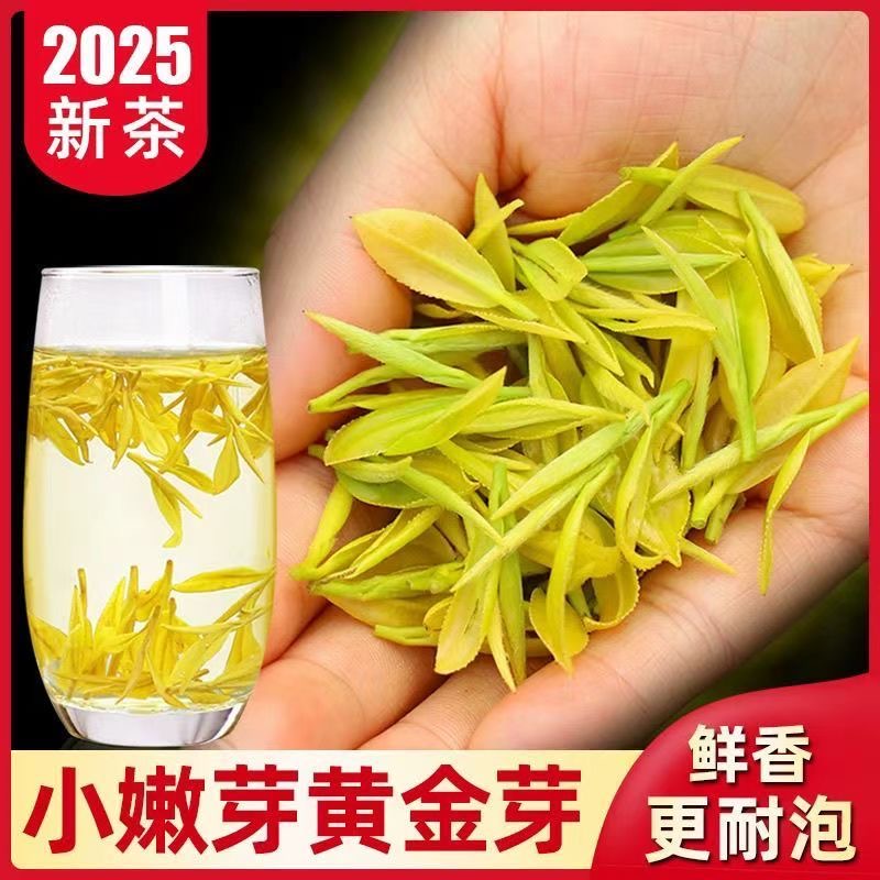2025年新茶春茶安吉高山芽茶叶明前茶豆香味浓香耐泡