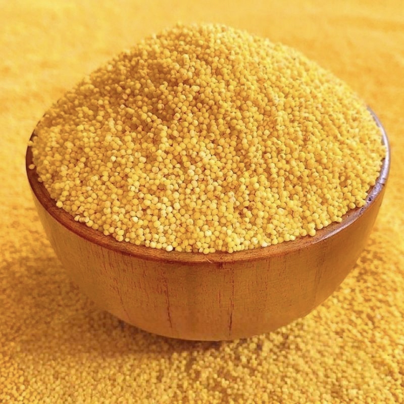 沂蒙山自家小米杂粮小黄米农家小米黄小米无任何添加内蒙古