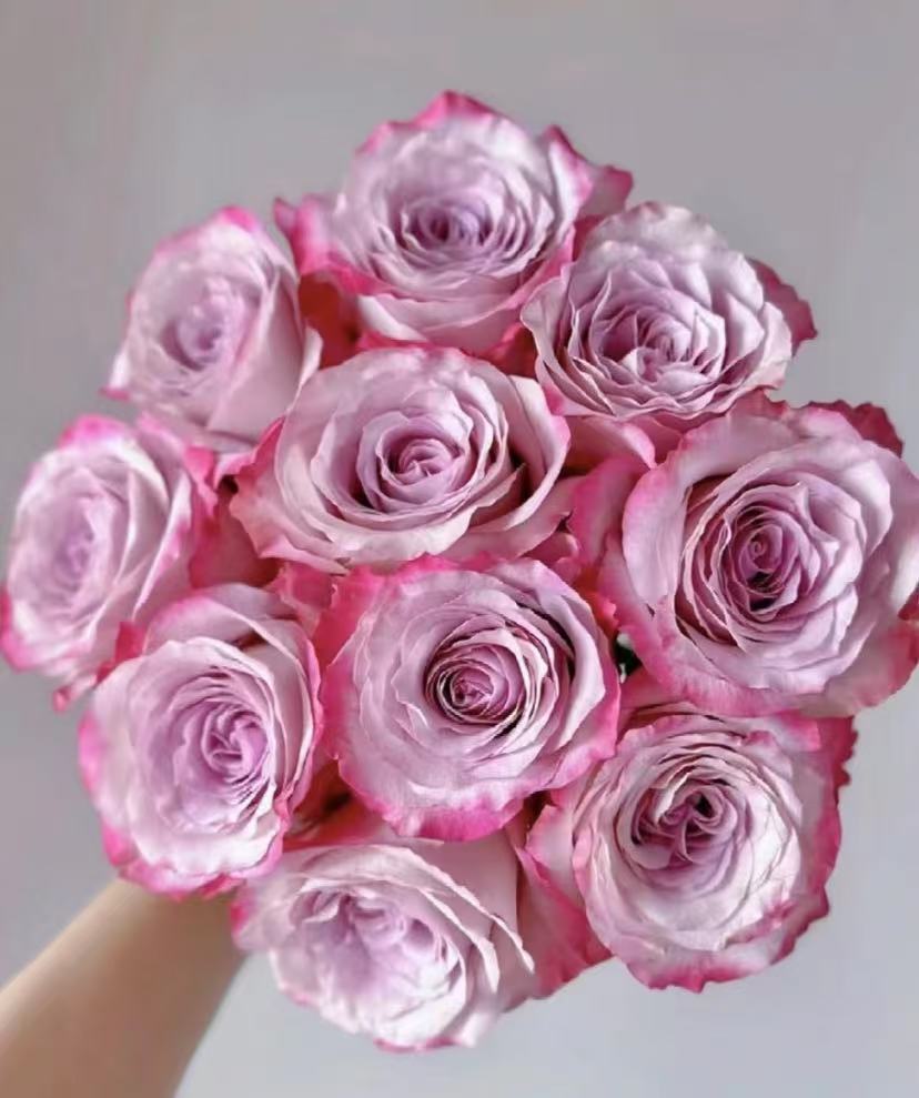 鲜花【气场】云南基地鲜花 同地址两单发冷链