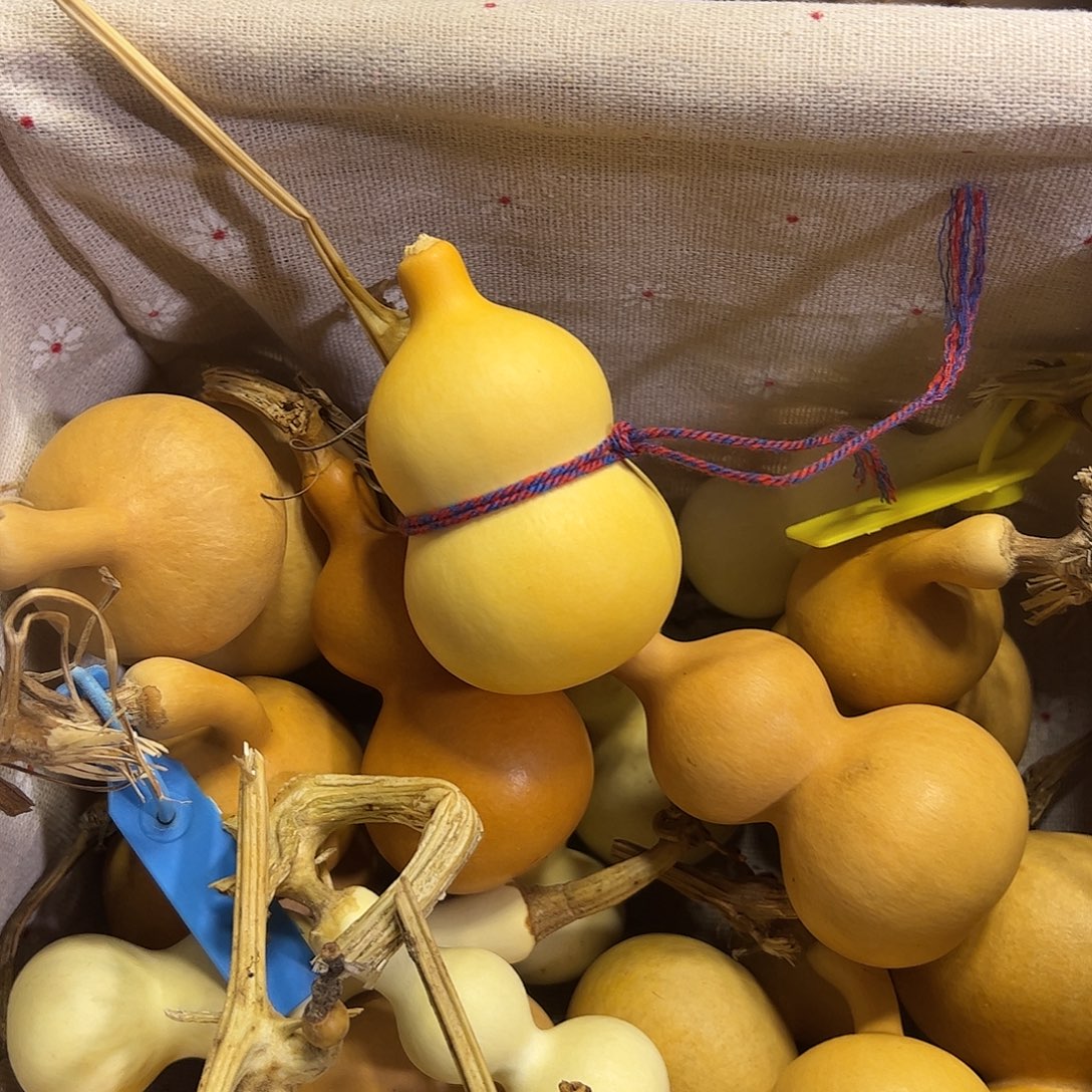 甘***王蚂蚁蚂蚁蚂蚁蚂蚁