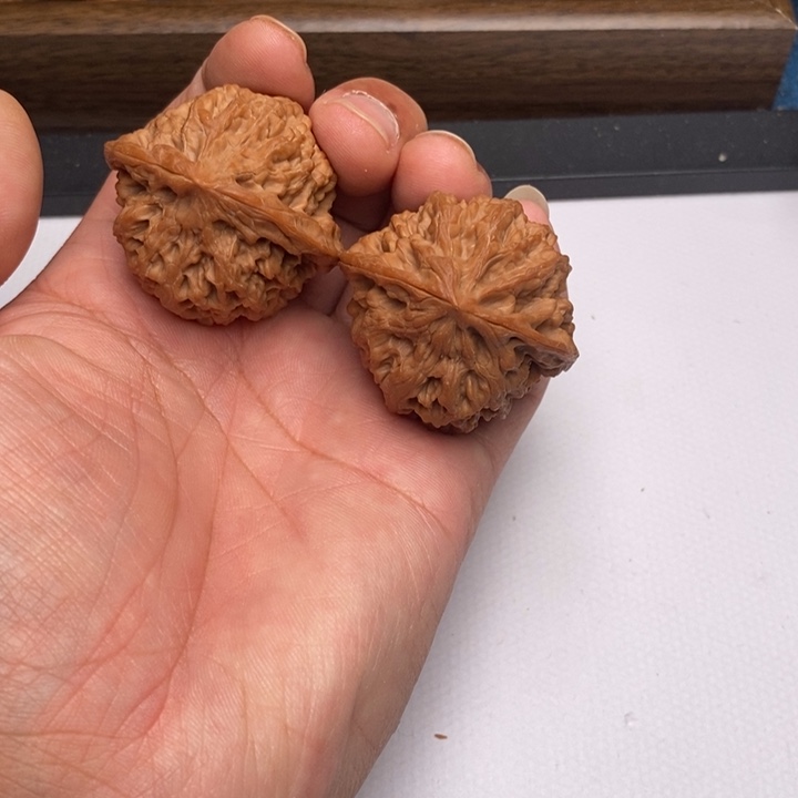 风***年野牛狮子头42尺寸