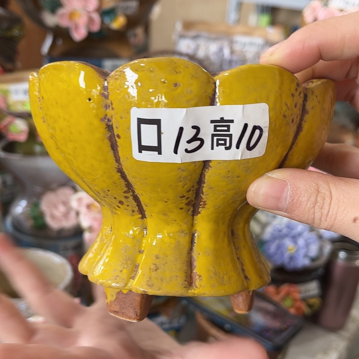 【闪购商品】红陶福利