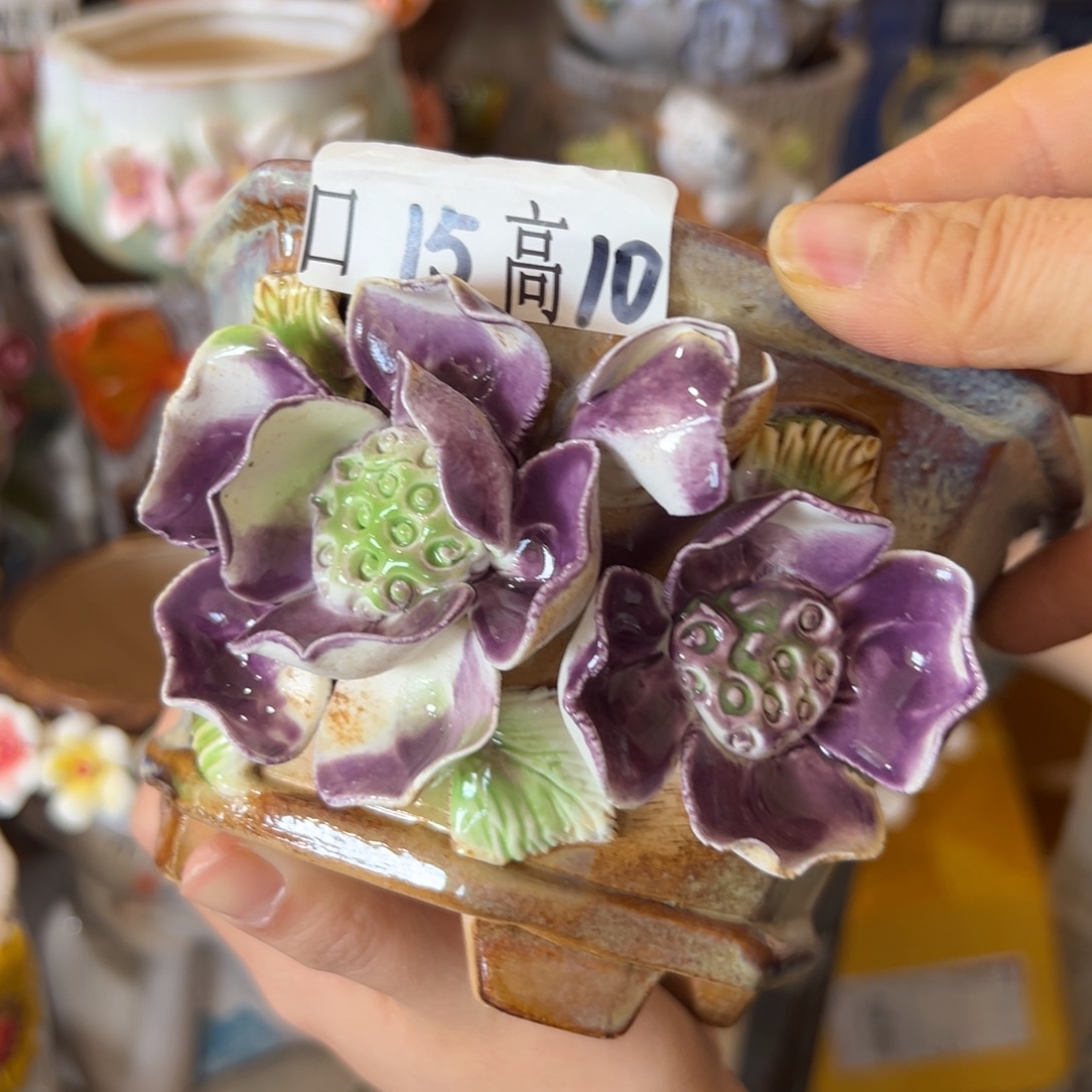 多肉花盆，满20发货爱退款拉黑