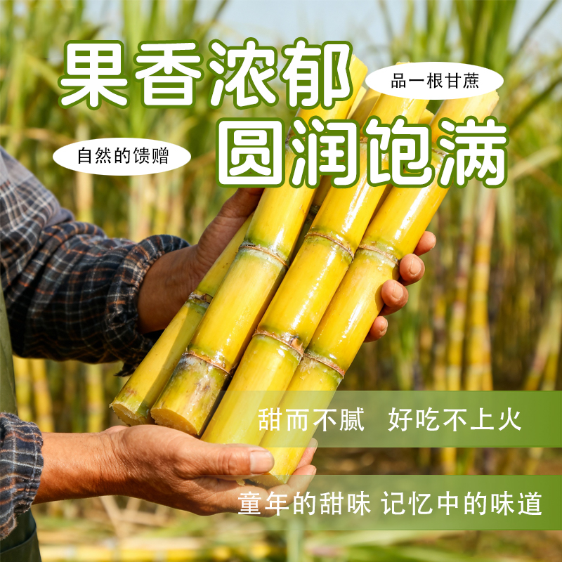 粤北新鲜黄金甘蔗产地现砍直发包邮脆甜多汁当季水果