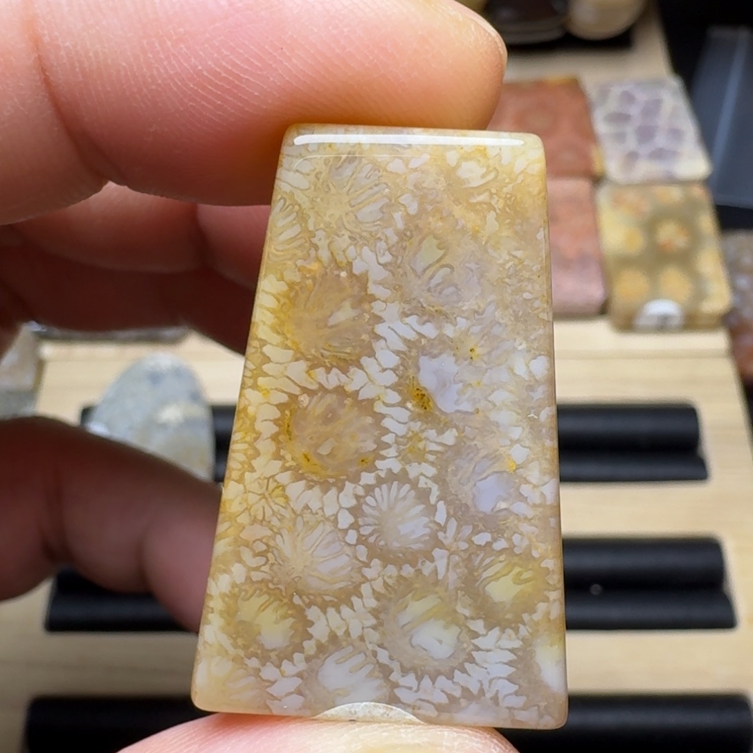 硅化玉未镶嵌纯天然色有机玉石保真色