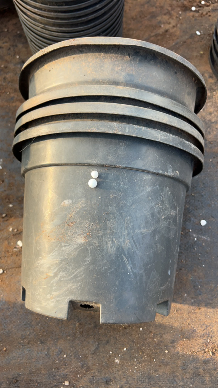 塑料旧花盆 熟胶加伦盆25口径19.5高 组合 4个