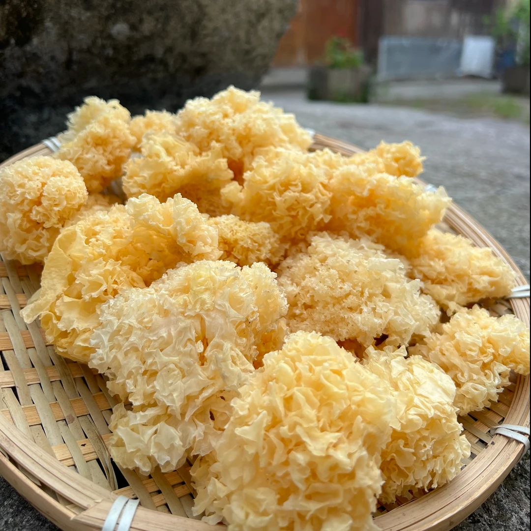 【秦巴本草】村书记助农 秦岭农家椴木小银耳250g