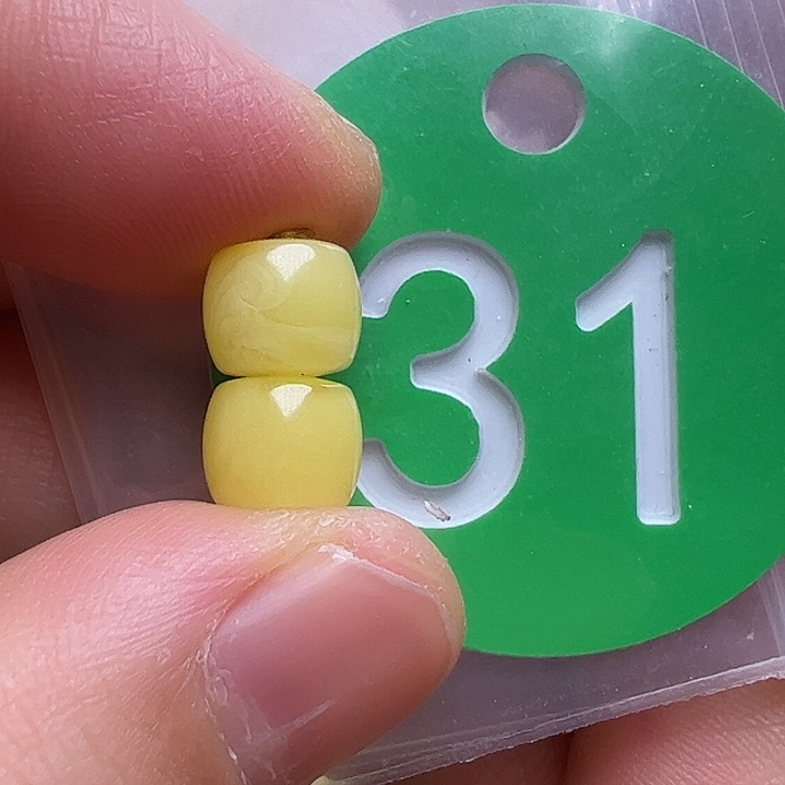 蜜蜡未镶嵌珠宝奇石7.2m m