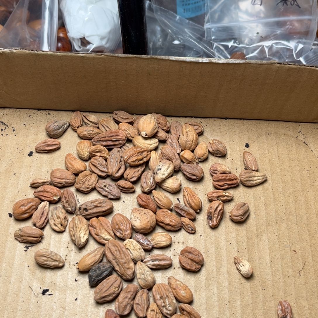 手串文玩核桃瑕疵91