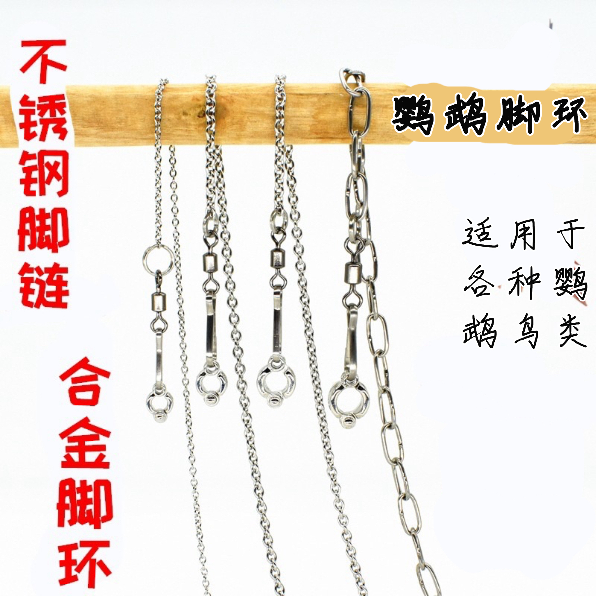 鹦鹉脚链脚环不锈钢鸟链子虎皮八哥牡丹玄凤鸽子站架开口脚套活扣