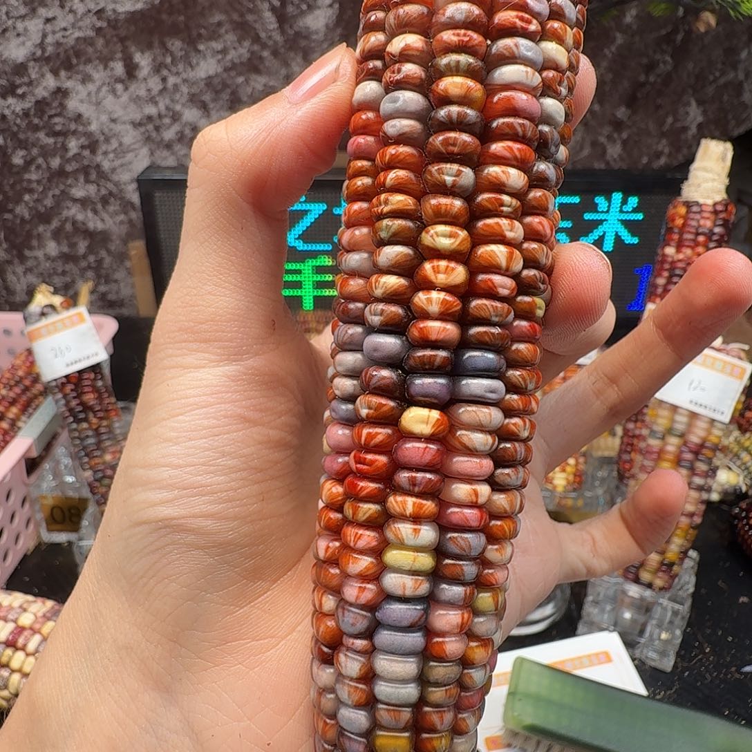 彤***^大叶紫檀（黑酸枝木类）