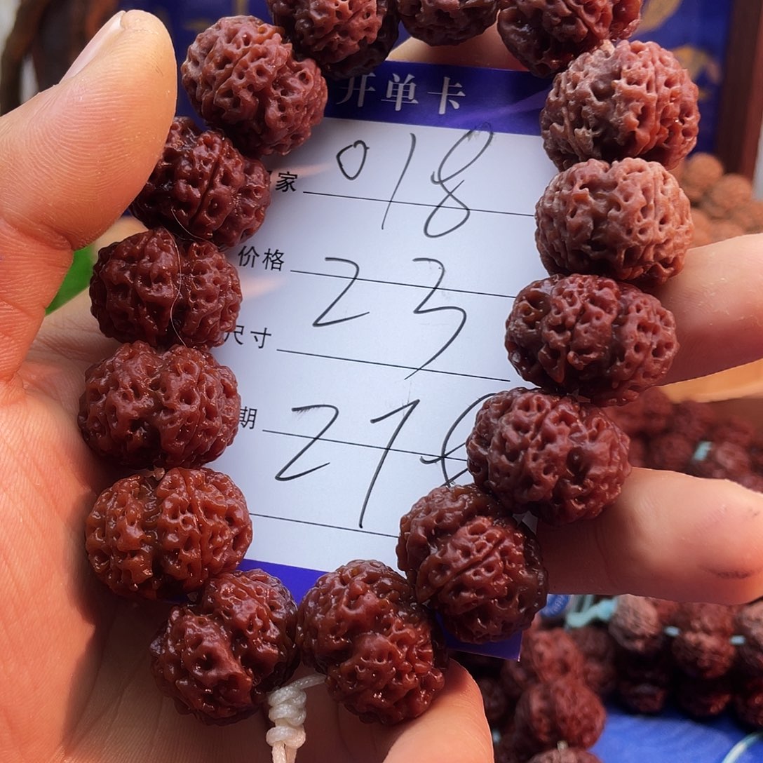 吊坠金刚菩提018-----龙骨梅花
