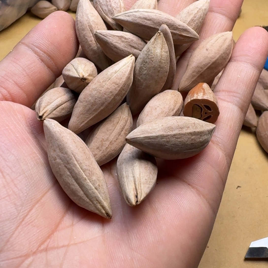 坚***仔橄榄核手串/手链1