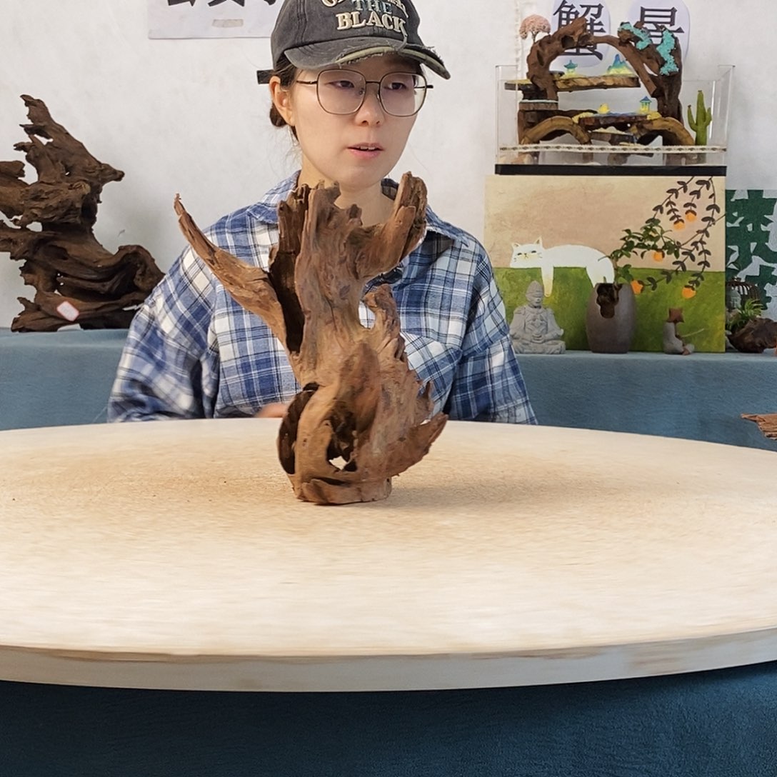 沉木造景寄居蟹景