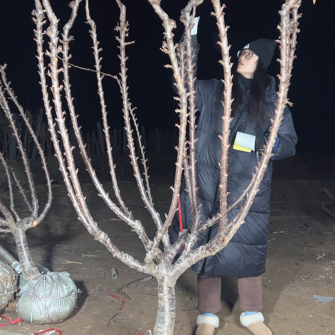 中***黄苏州直播间专拍直播间