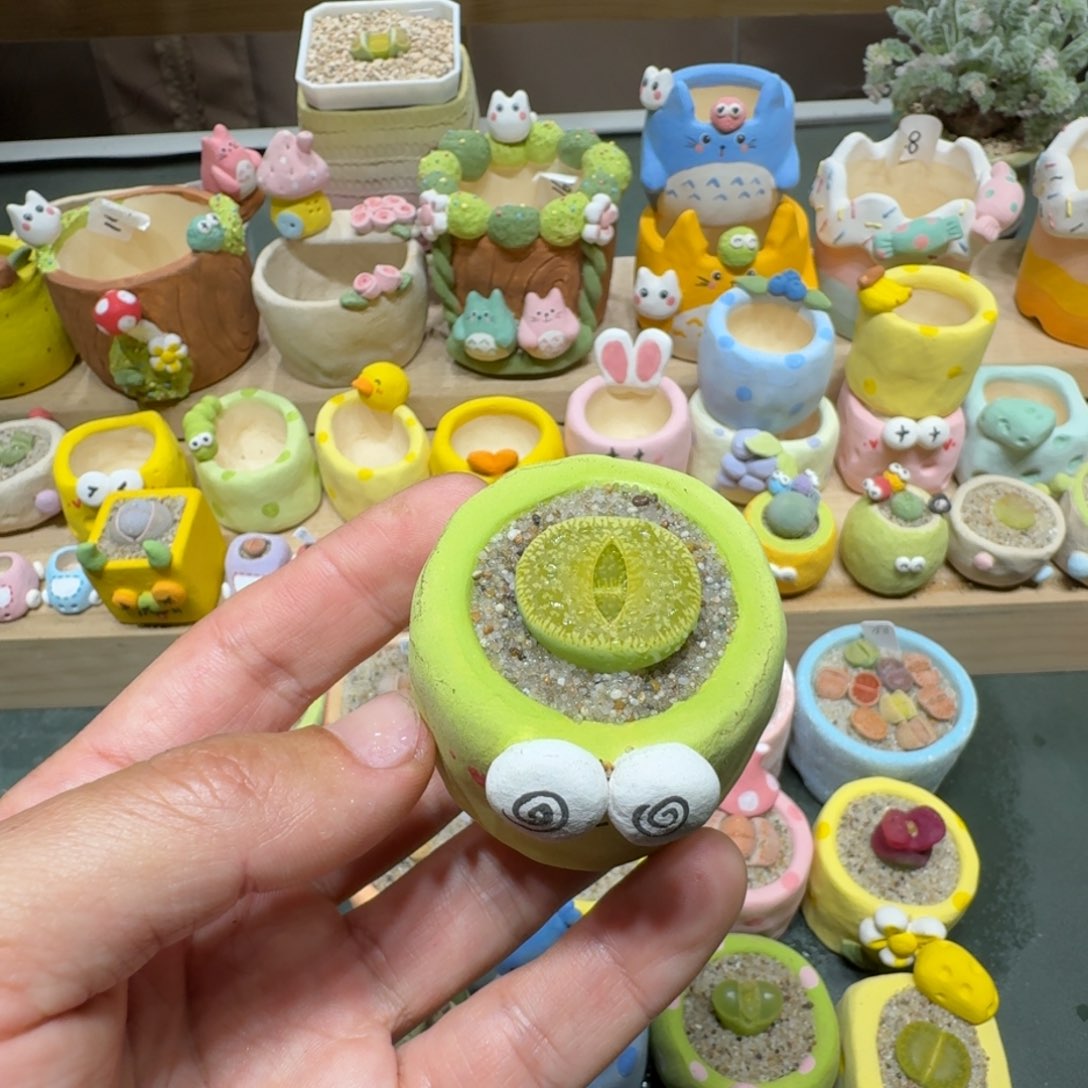 红陶蘑菇654绿光阳