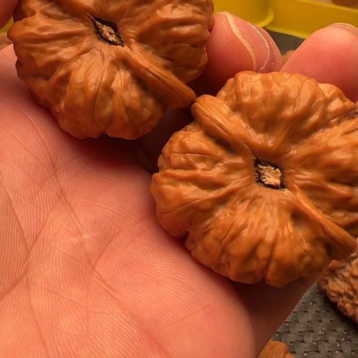 Z***B核桃文玩核桃文玩核桃