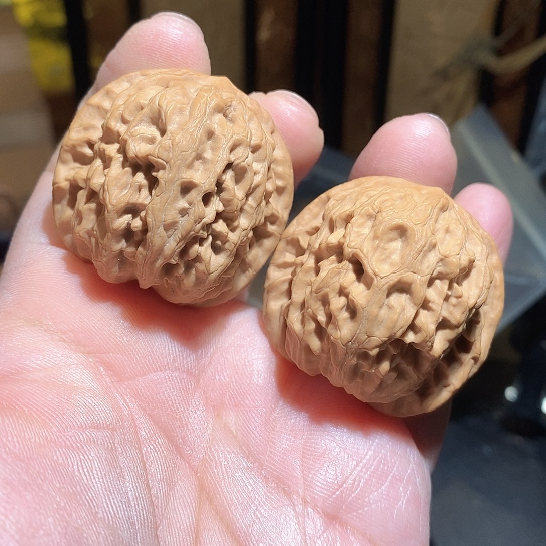 文玩核桃把件41龙脉元宝