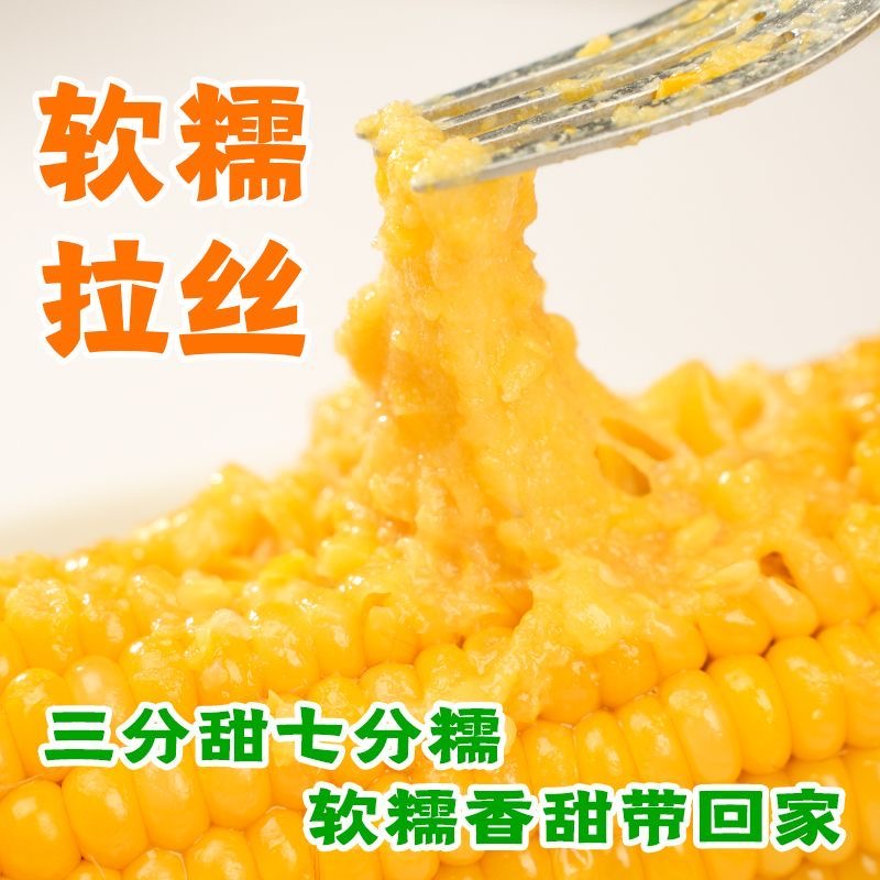 25年头茬（试吃2支）正宗东北新鲜黄糯玉米软糯拉丝独立真空包装