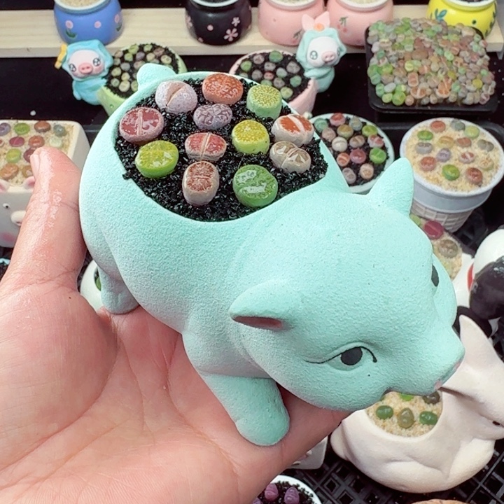 531零下地区记得拍保温箱