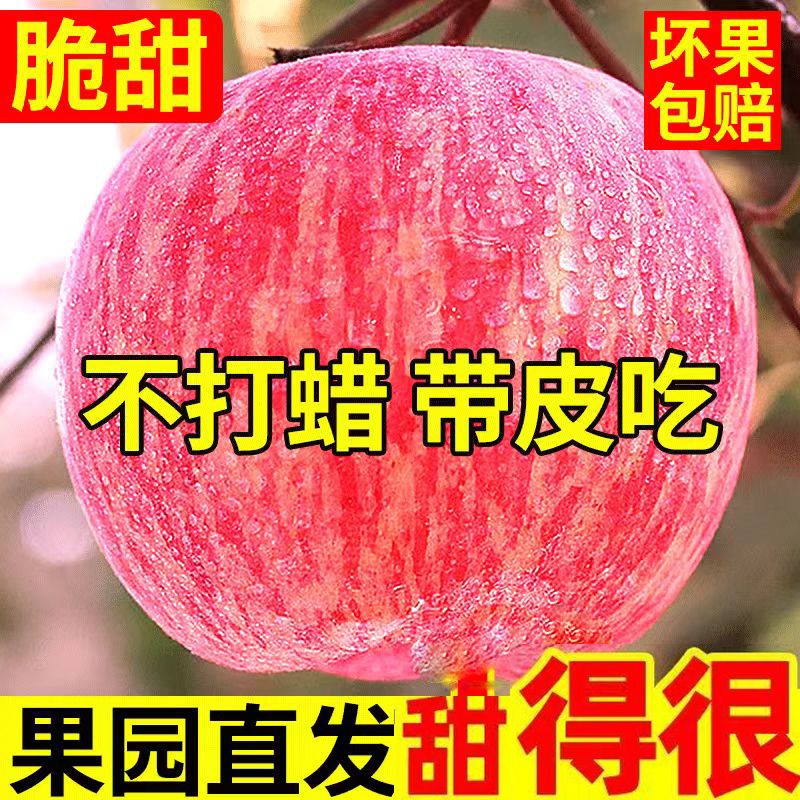 【特级】陕西红富士大果苹果新鲜水果脆甜洛川运城超大正宗礼盒装
