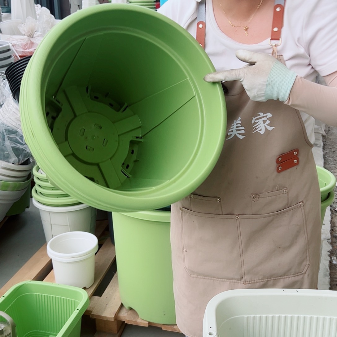 青山盆7#果绿色5个无托
