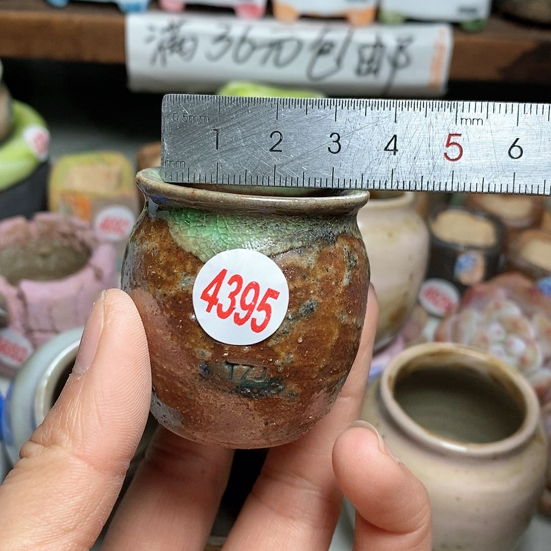 红陶拍5送一个小