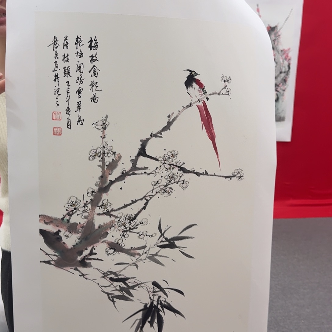 国画新号开播福利多多