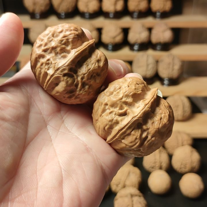 文玩核桃把件43玄武元宝