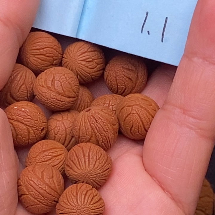 秦岭龙纹桃核20颗