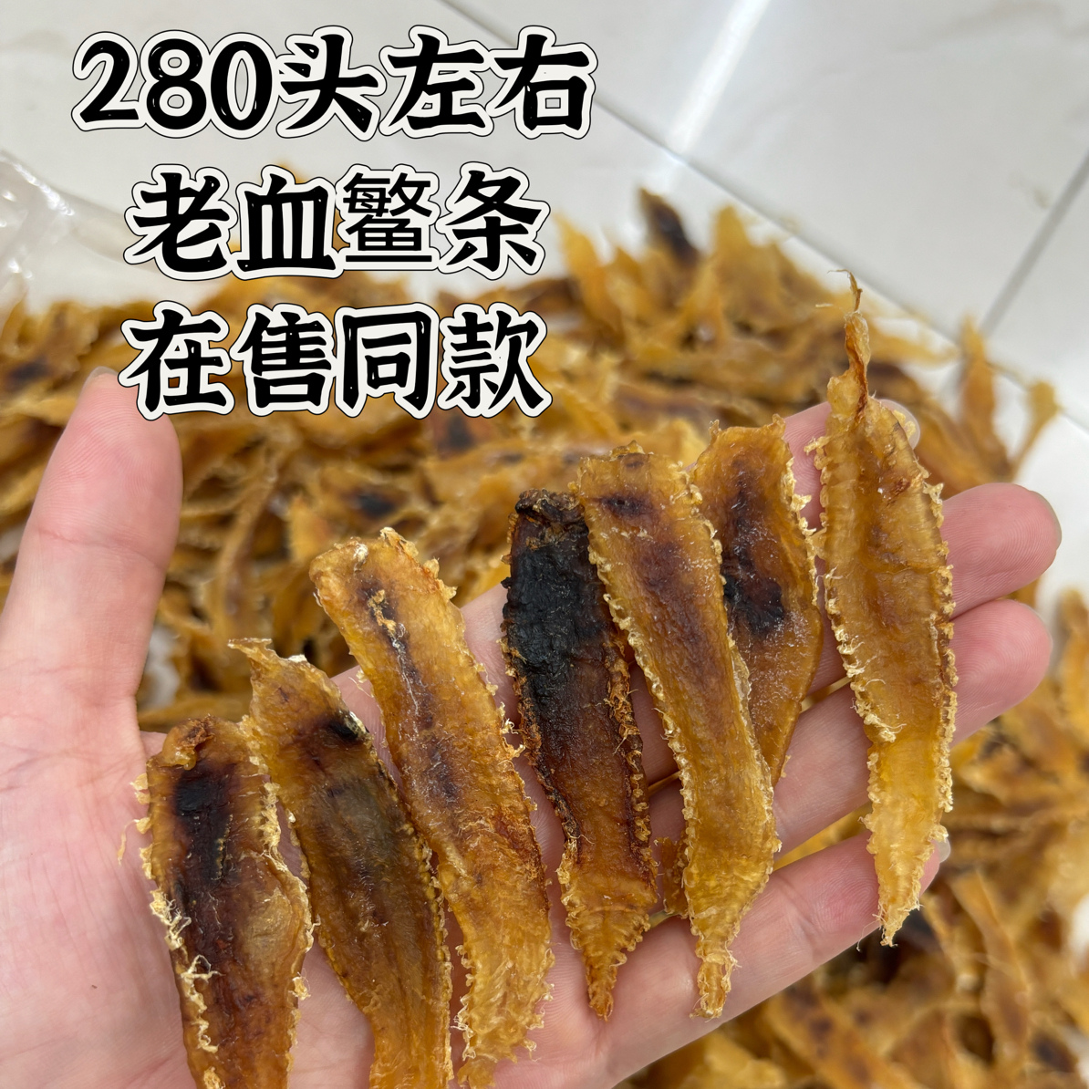 血鳘 土鳘母 正三门 补红色 鱼胶直播间同价