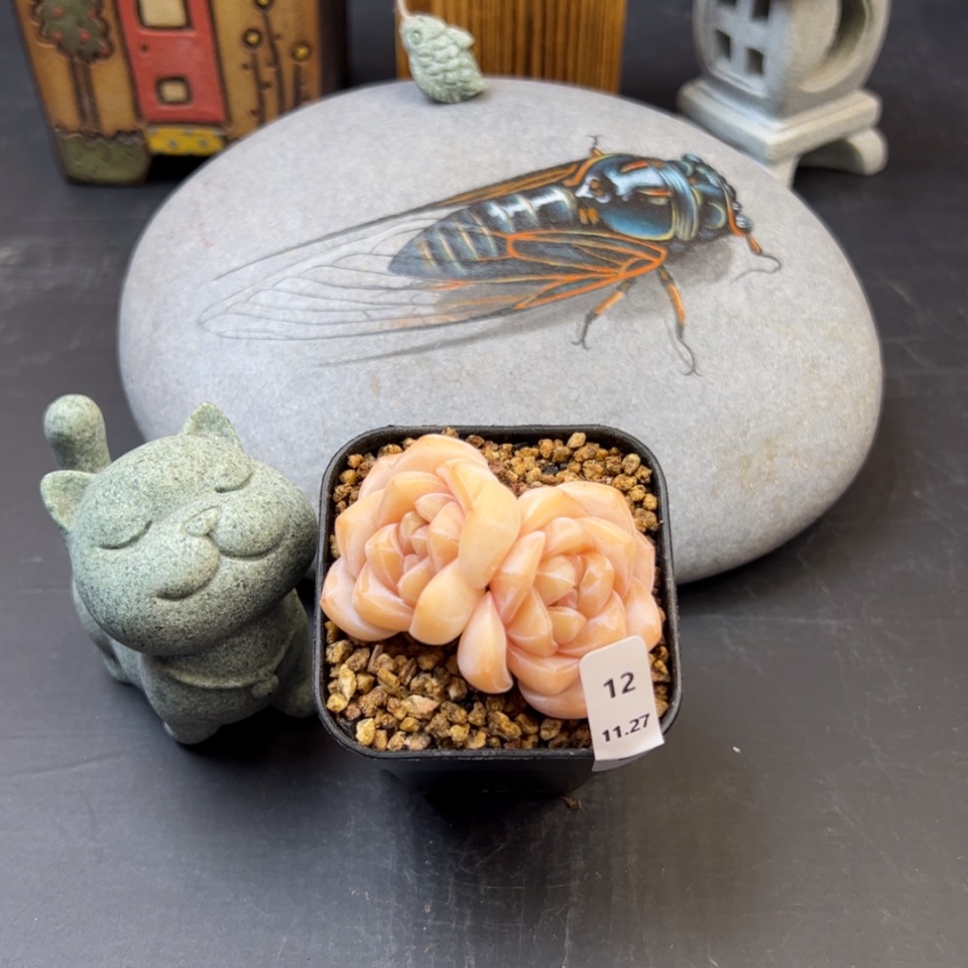 好好看12、哈哈哈哈哈