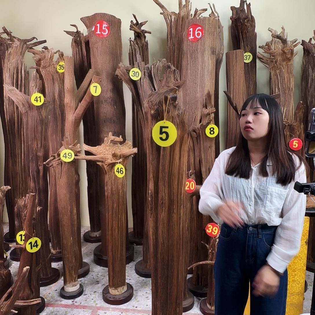 沉香沉香碎屑天然沉香原材料香料熏料