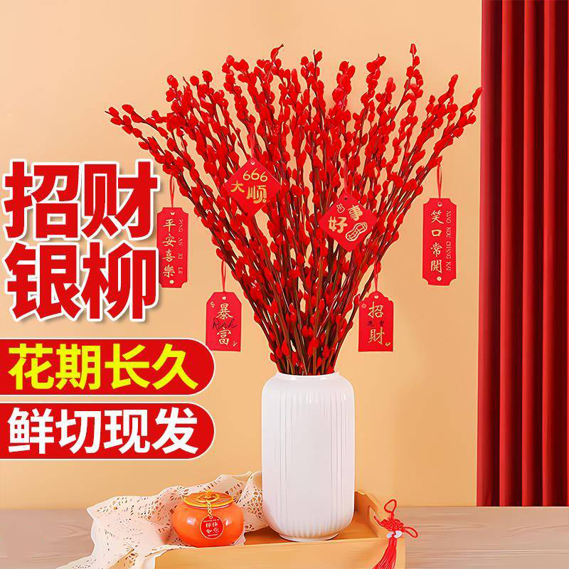 银柳真花鲜枝年宵花卉七多彩大红色银柳干花客厅柳枝水养装饰招财