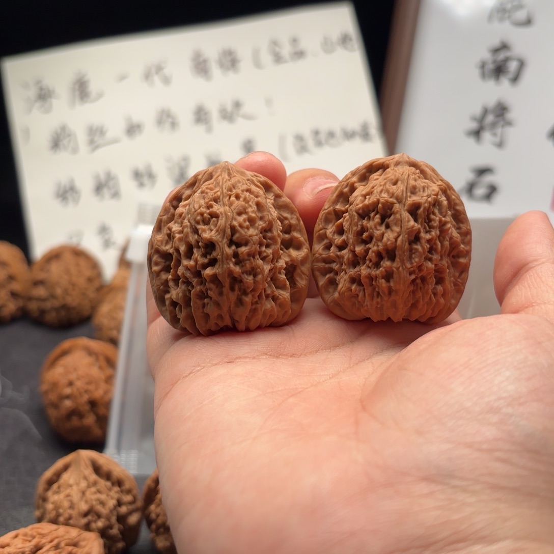 有***壹核桃涿鹿南疆一代38